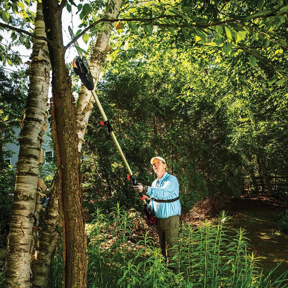 DR Battery-Powered Pole Saw 4 DR Battery-Powered Pole Saw - Image 4