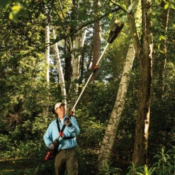 DR Battery-Powered Pole Saw 11 DR Battery-Powered Pole Saw -Snow Tools Shop 1000Wx1000H 57