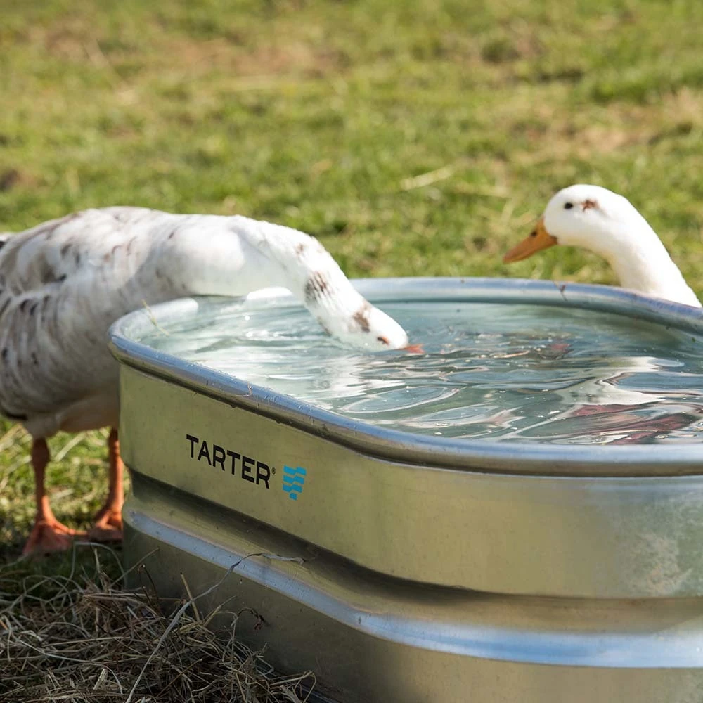 Tarter Stock Tank 40 - 1 Ft. X 2 Ft. X 4 Ft. 3 Tarter Stock Tank 40 - 1 Ft. X 2 Ft. X 4 Ft. - Image 3